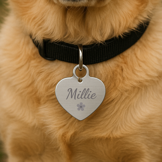 Heart-shaped pet tag with sample name "Millie" and paw print engraved on stainless steel, attached to tan dog's black collar
