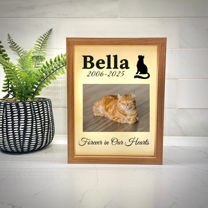 Whiskered Memories Light Box