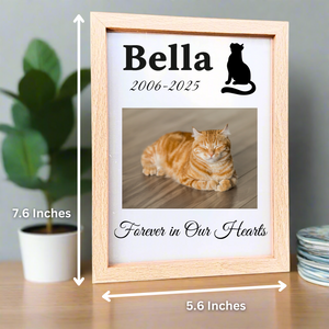 Whiskered Memories Light Box