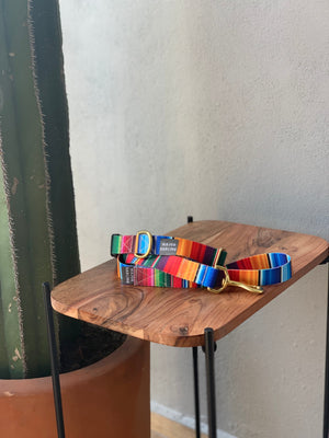 Rainbow Run Collar