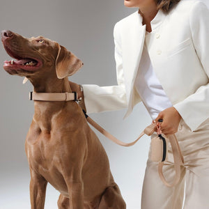 Heavy-Duty Dog Walking Leash - Dune