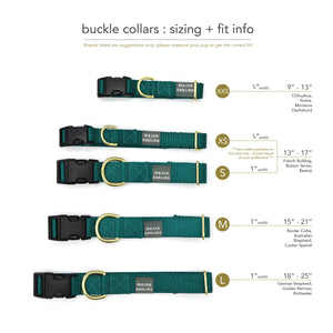 Rainbow Run Collar