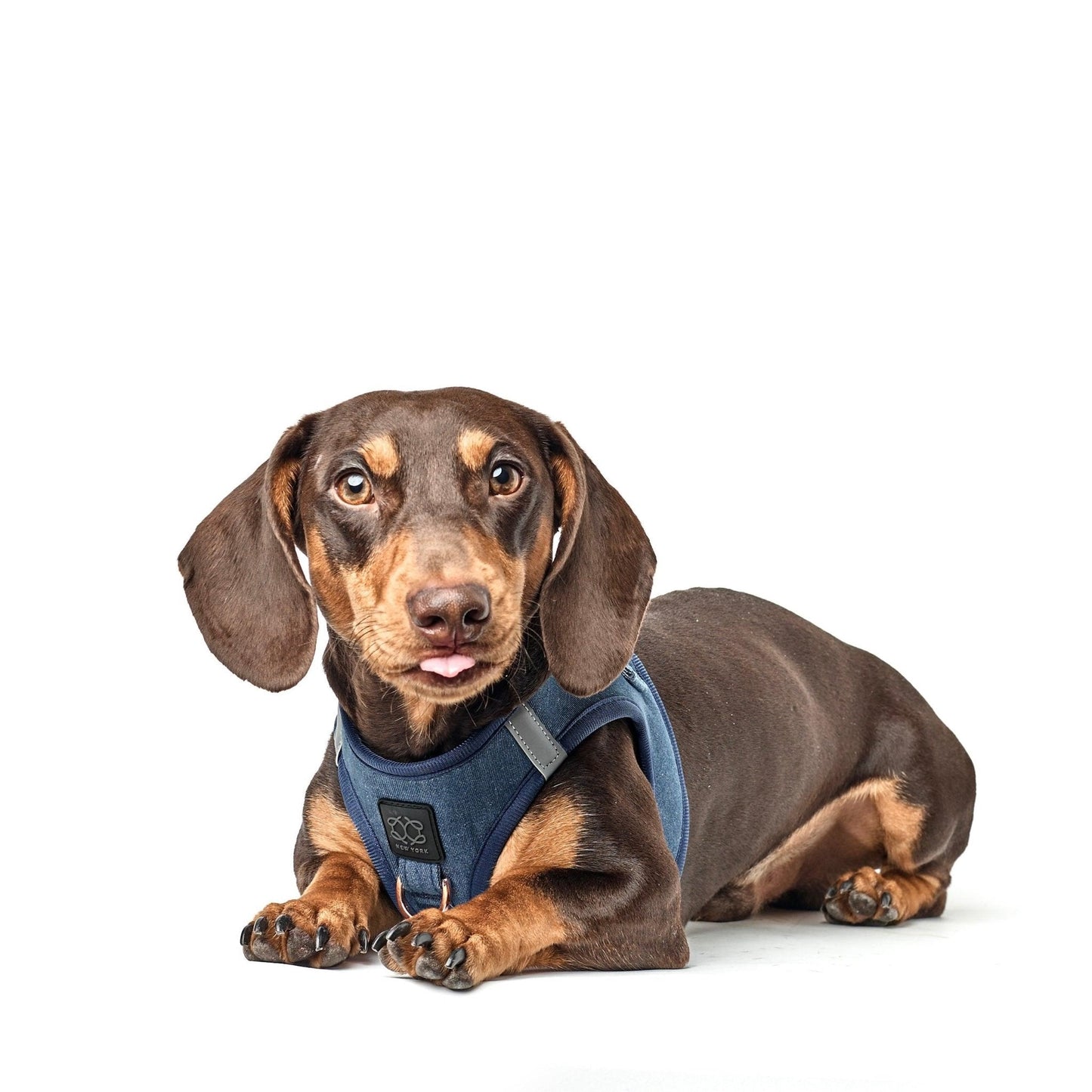No-Pull Dog Harness