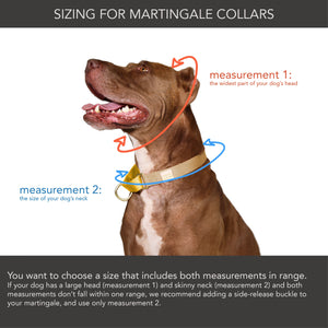 Paws & Peaches Collar