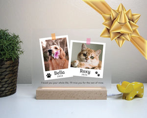 Dual Light Up Memorial Plaque