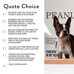 Pet Memorial Photo Sign