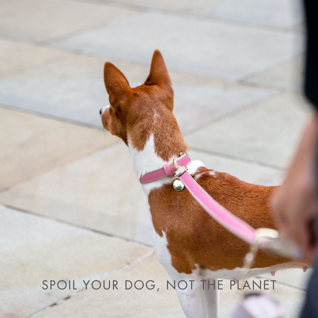 Hot Pink Leather Dog Leash