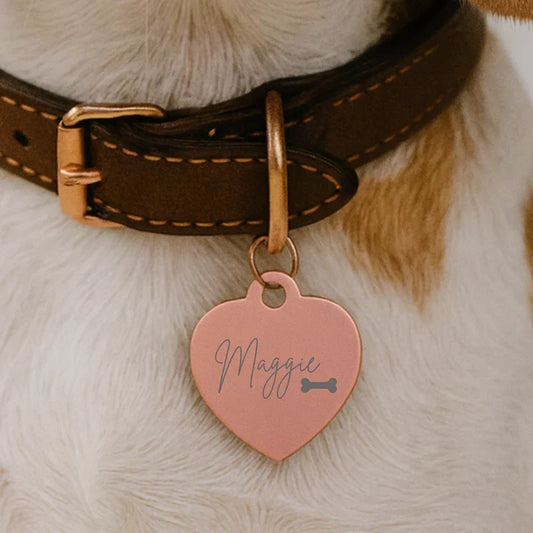 Personalized dog ID tags engraved with pet names and phone numbers, cute bone and paw shaped custom tags for dogs in several colors