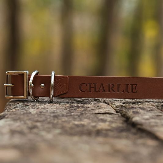 Personalized leather dog collar with the dog name engraved directly into the leather