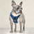 17 Best No Pull Dog Harnesses for Comfortable and Controlled Walks