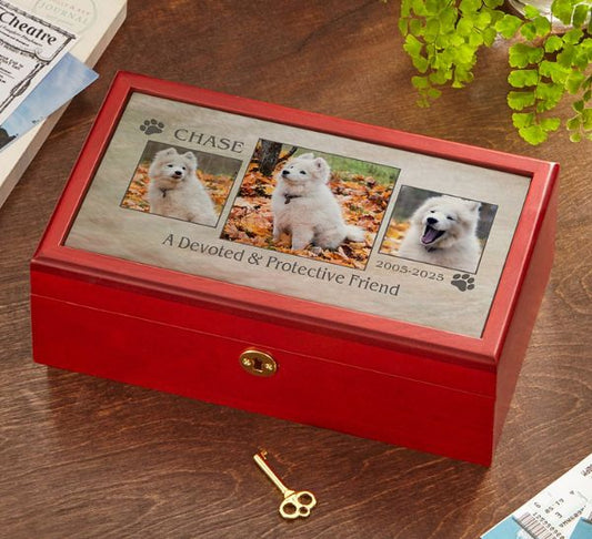 Personalized dog memory box with a photo lid showing three pictures of a white Samoyed named Chase above the words a devoted and protective friend