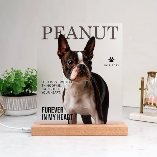 A personalized pet memorial photo sign, one thoughtful sympathy gift idea for a friend who lost a dog or cat.
