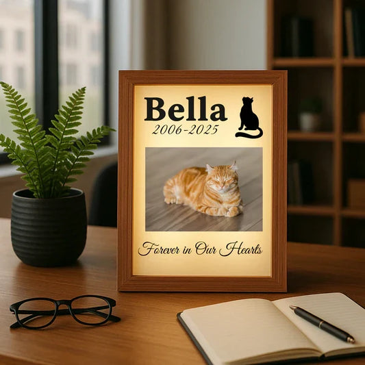 A lit wooden memorial frame on a desk showing a ginger cat photo with the name Bella, the years 2006 to 2025 and the line Forever in Our Hearts