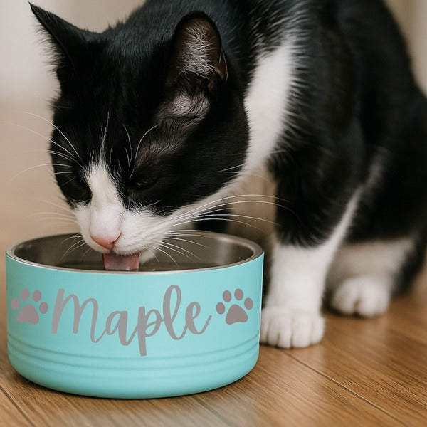 personalized cat bowl