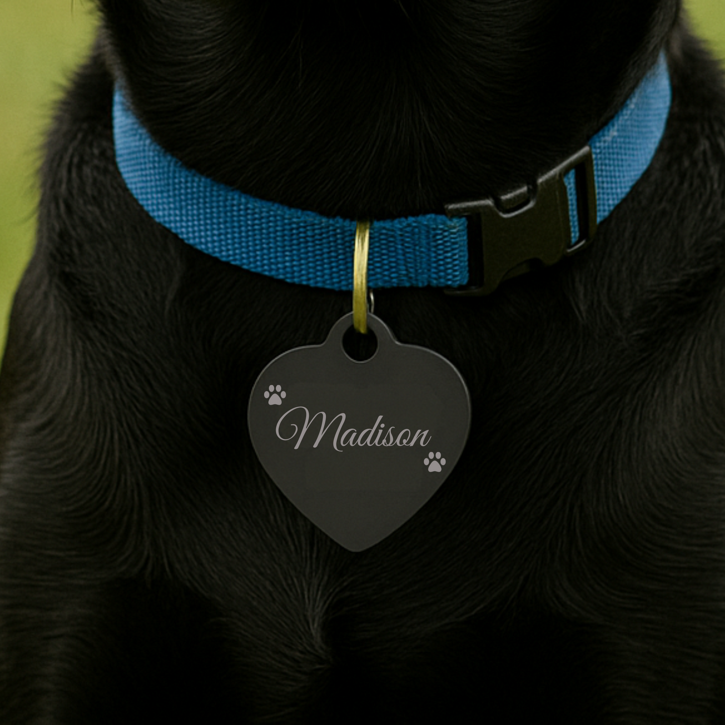 Tail-Waggin’ Paw Tag