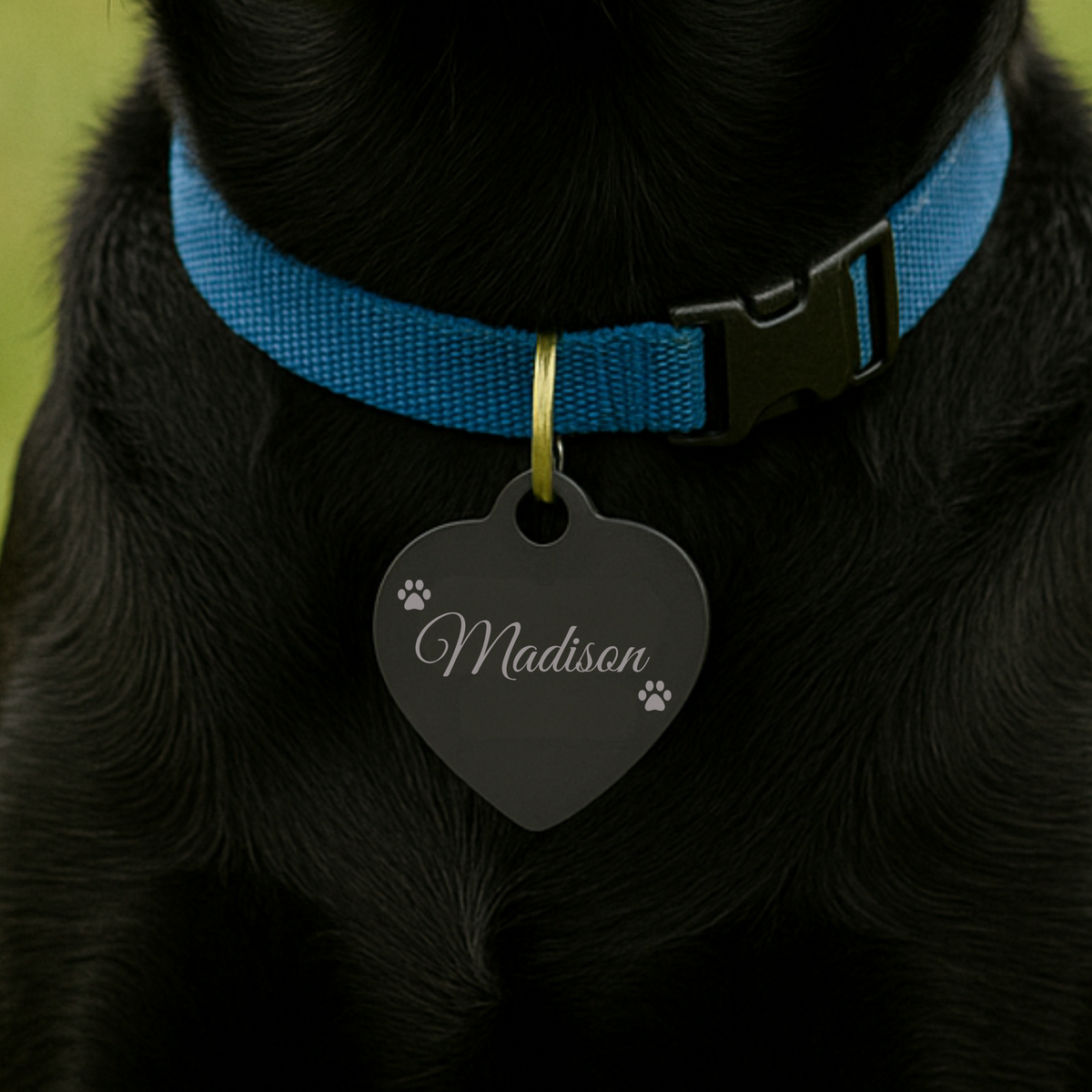 Tail-Waggin’ Paw Tag