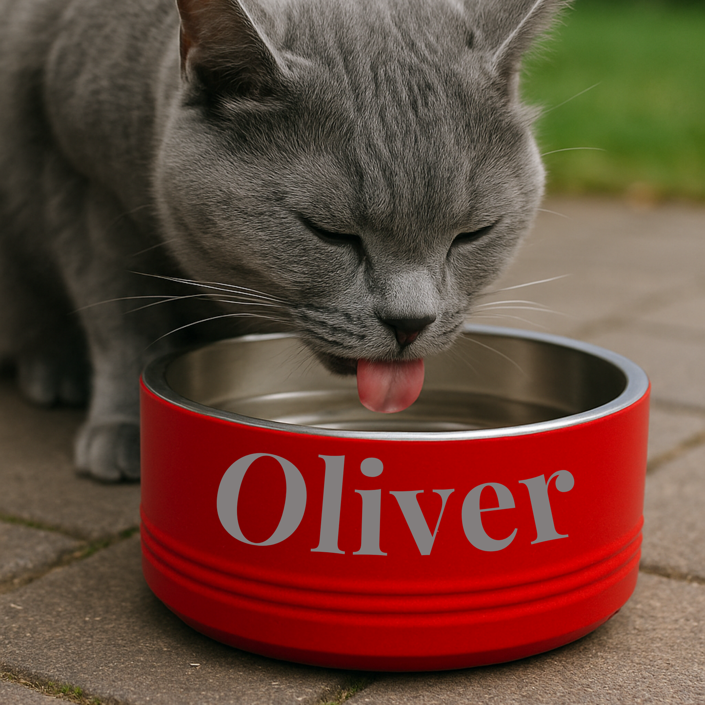 Gray cat drinking from red ceramic bowl with sample name "Oliver" printed on the side