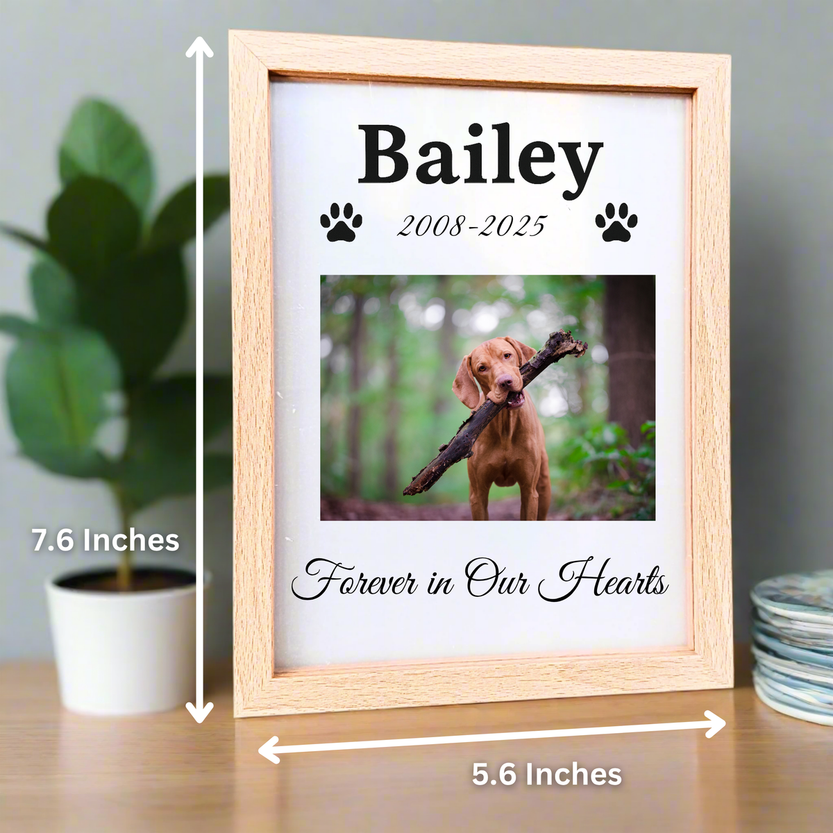 Pawprint Memory Light Frame