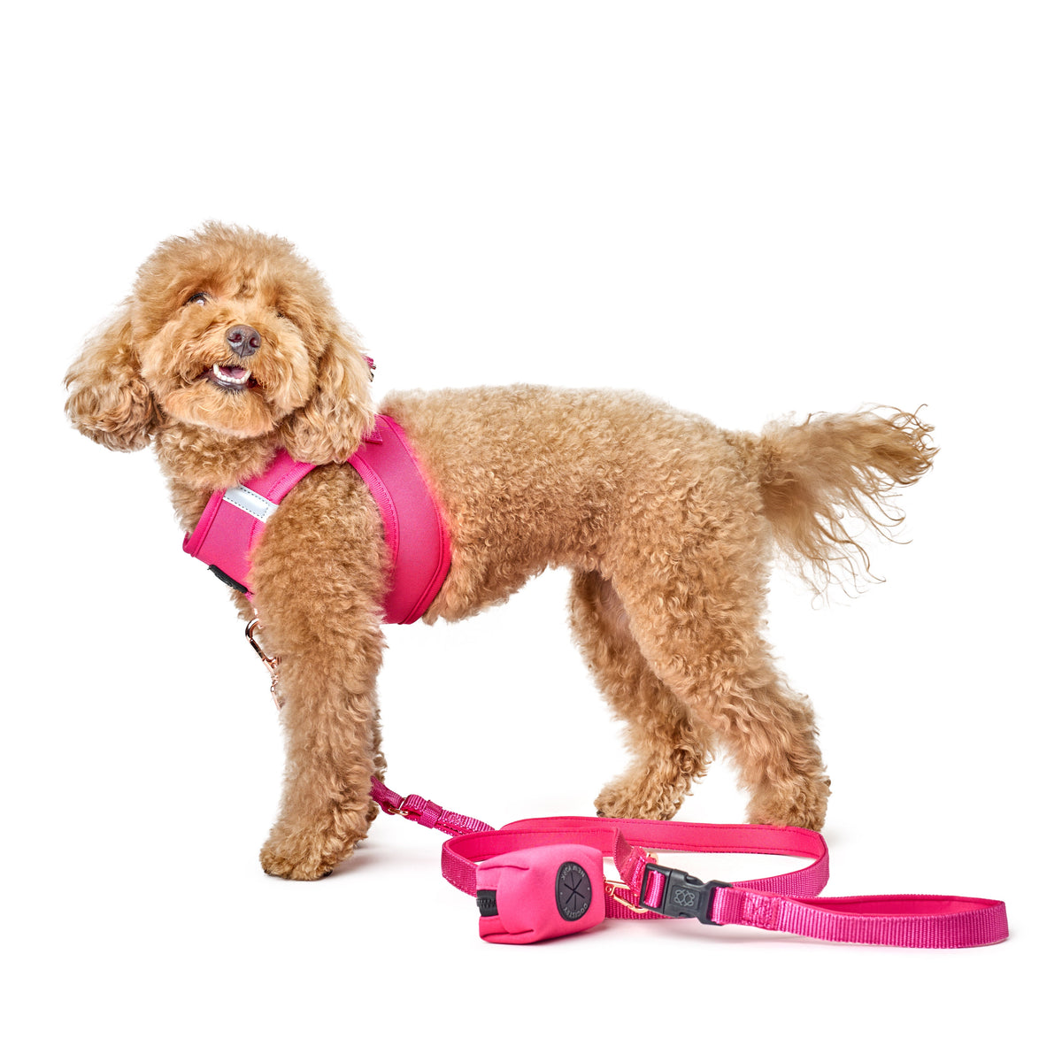 The Pretty in Pink Pup Leash