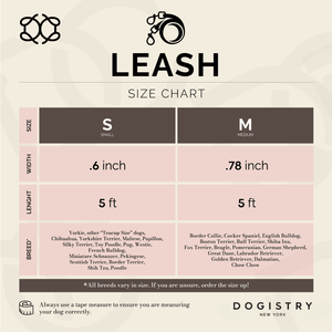 Pink Sweetheart Dog Leash