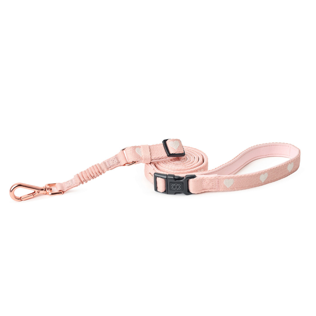 Pink Sweetheart Dog Leash
