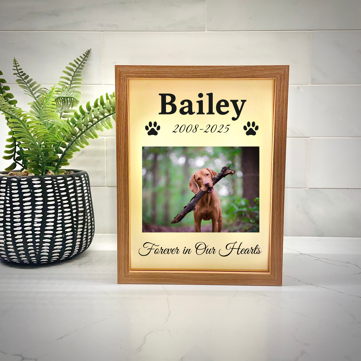 Pawprint Memory Light Frame
