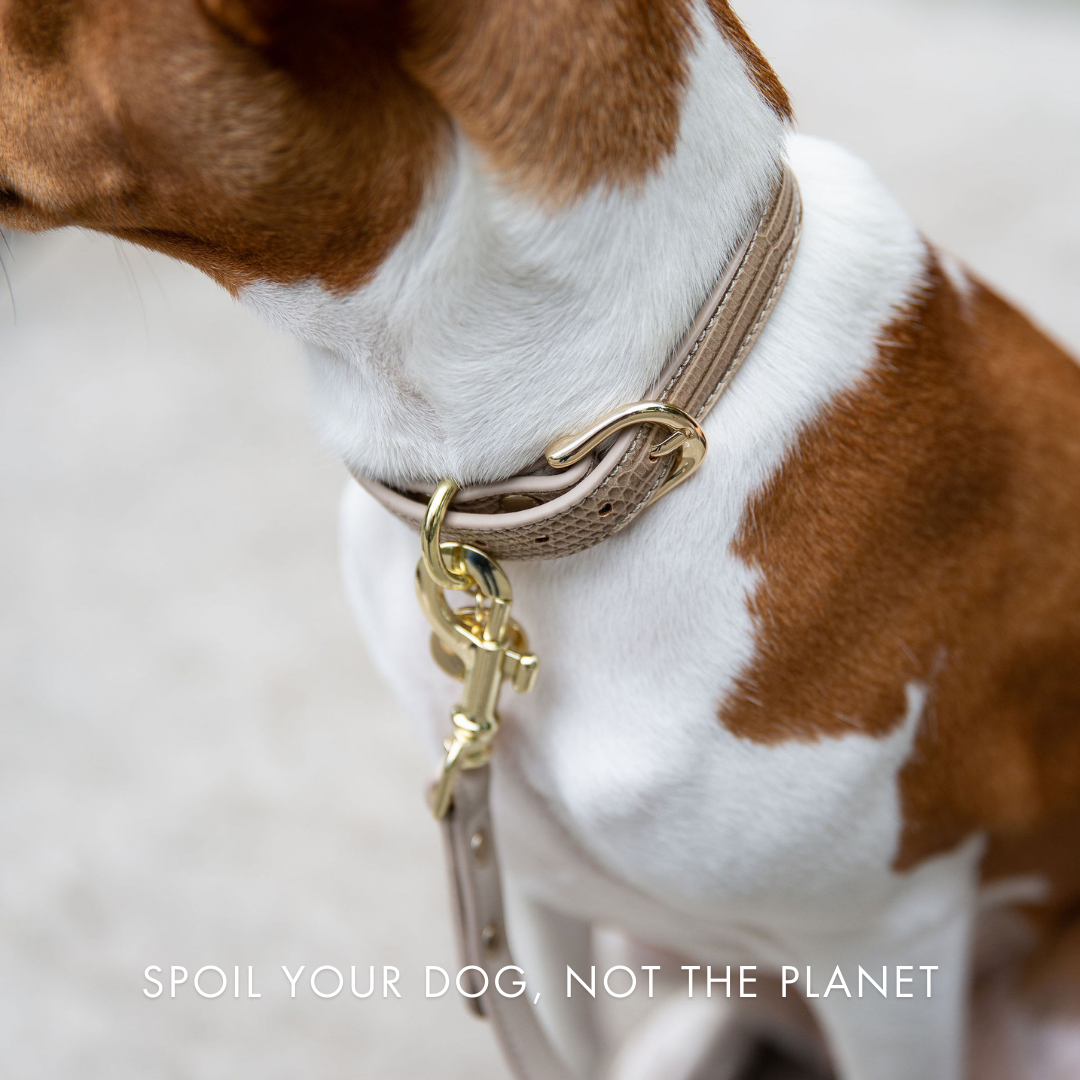 The Pink Luxe Leather Dog Leash