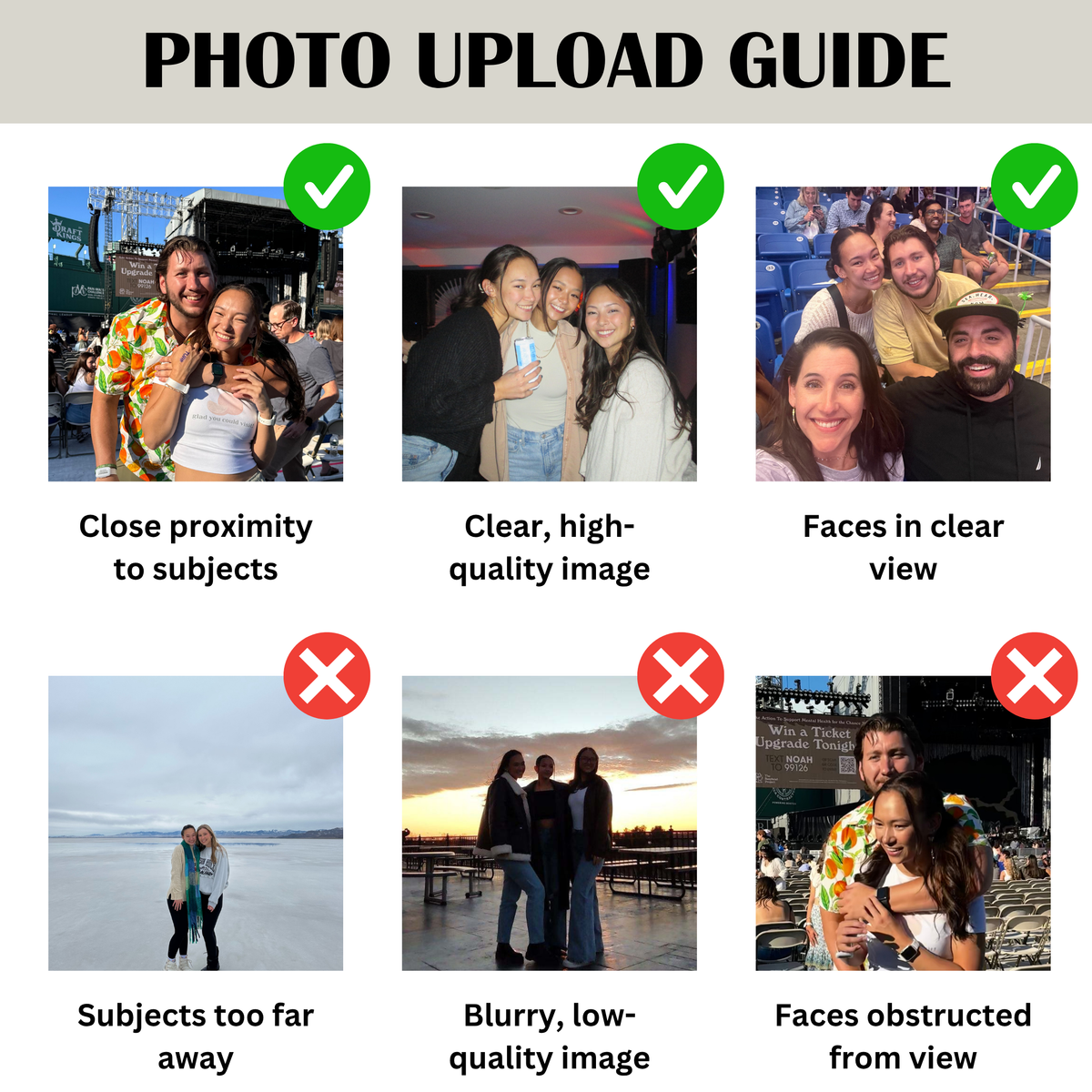 Whiskered Memories Light Box