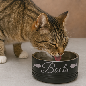 Purrfect Catch Cat Bowl