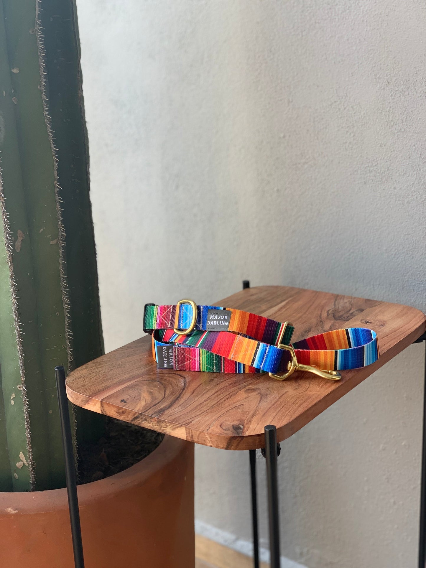 Rainbow Run Collar