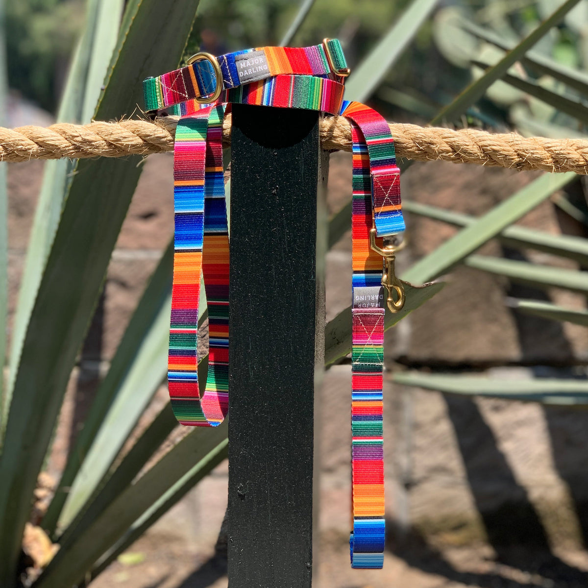 Rainbow Run Collar