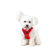 Lightweight Dog Walking Harness