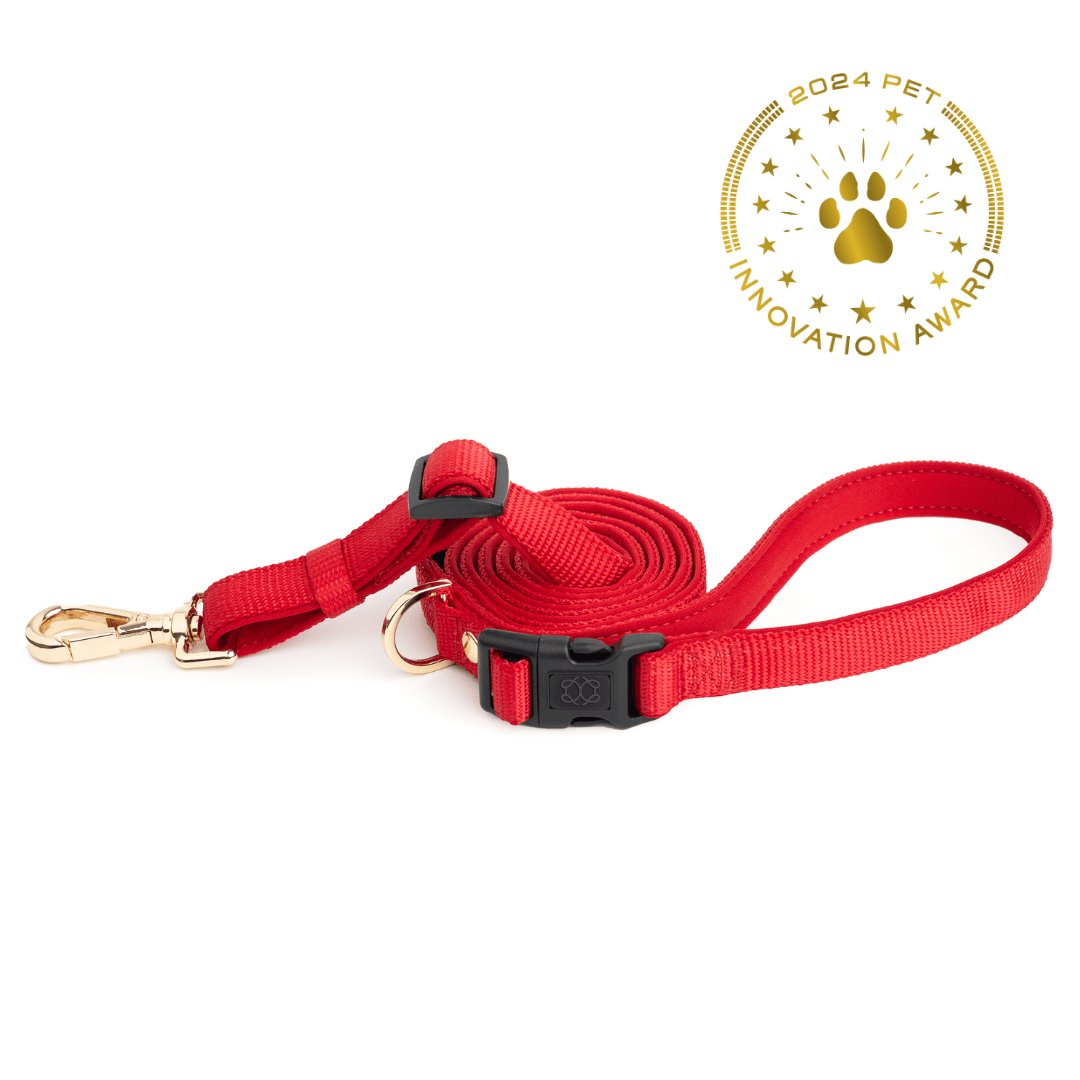 Bright Red Adventure Leash