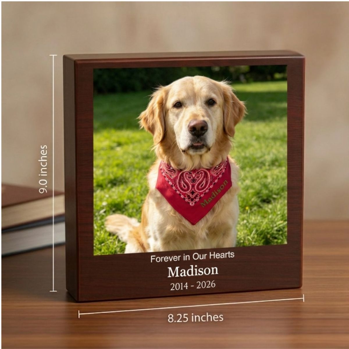Pet memorial keepsake box with a golden retriever photo, name and dates printed on the front, shown with its 9 inch height and 8.25 inch width marked