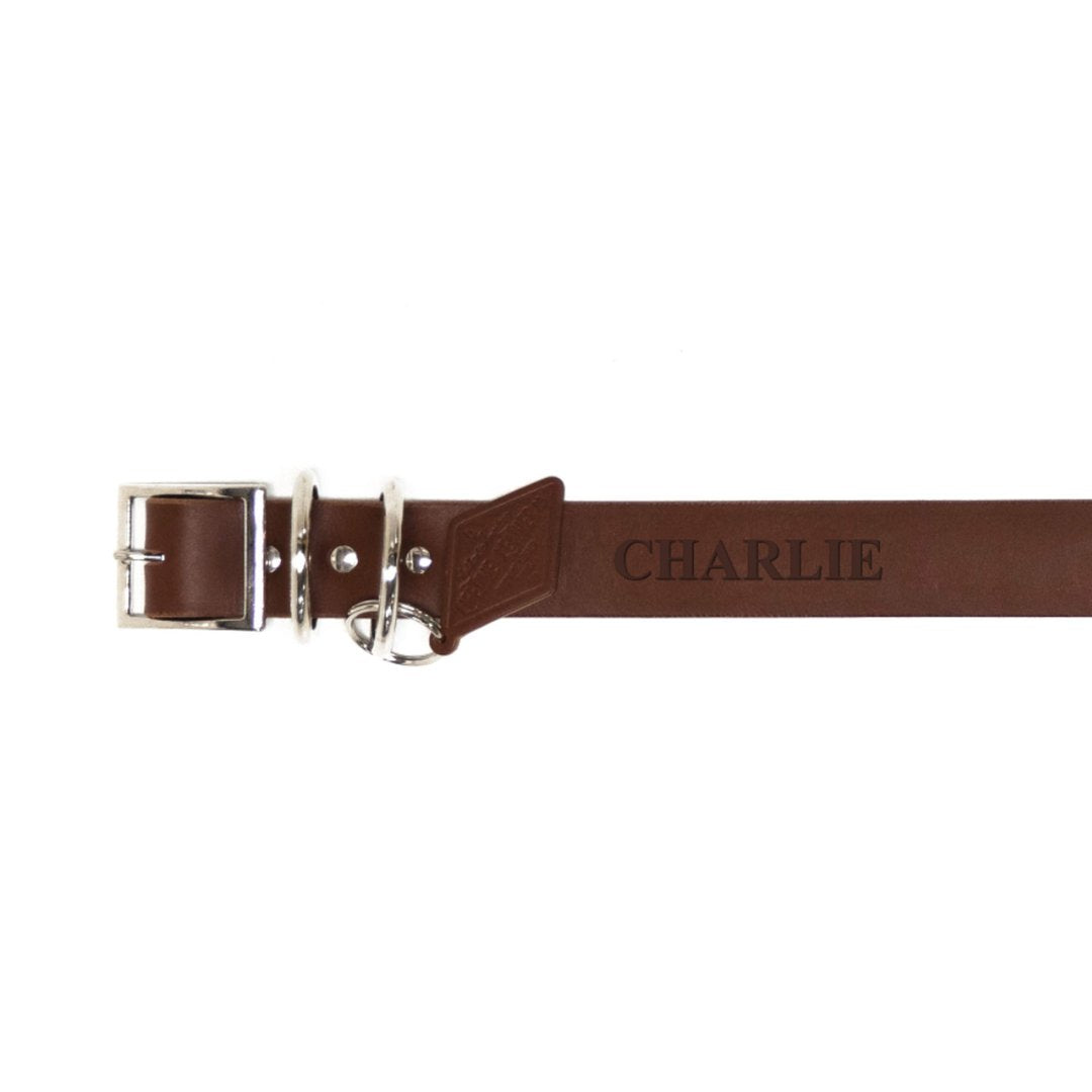 Personalized Leather Dog Collar