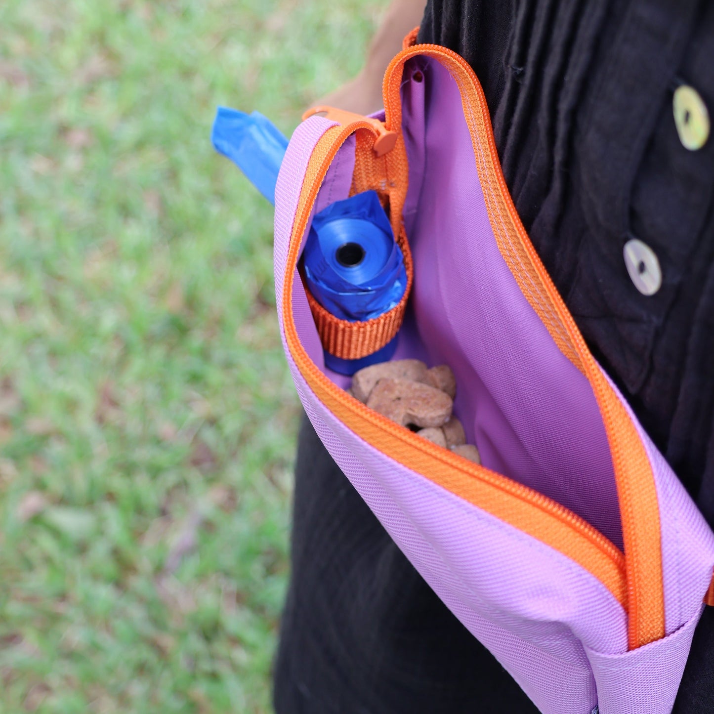 The WagBag