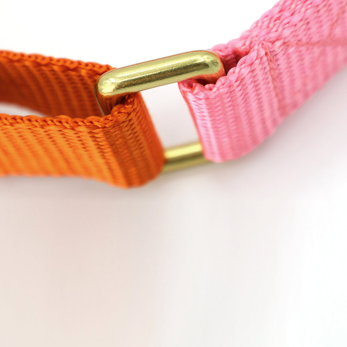 Paws & Peaches Collar