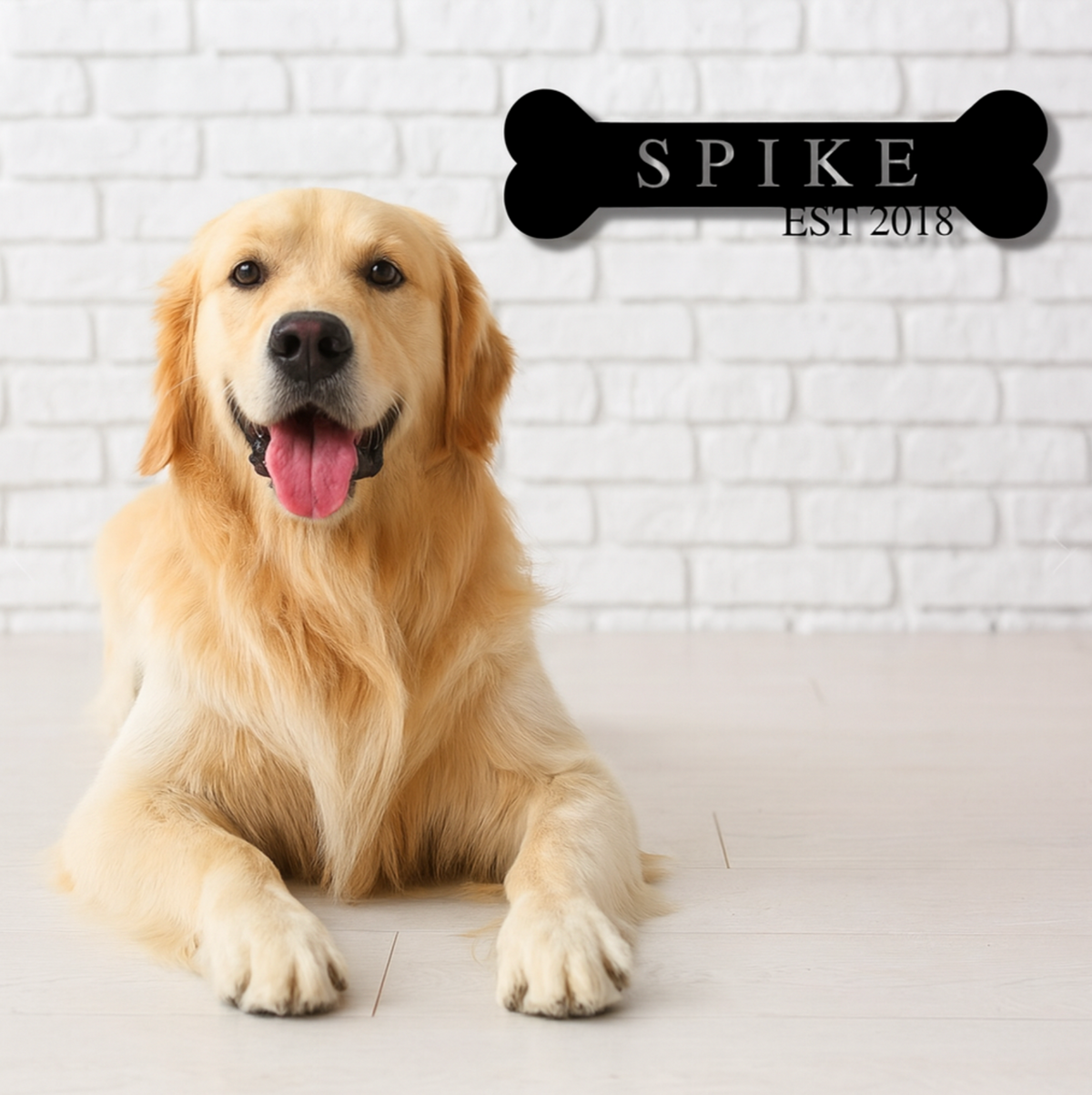 Custom Dog Bone Metal Sign