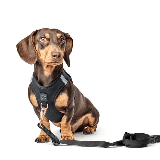 Black Durable Dog Harness