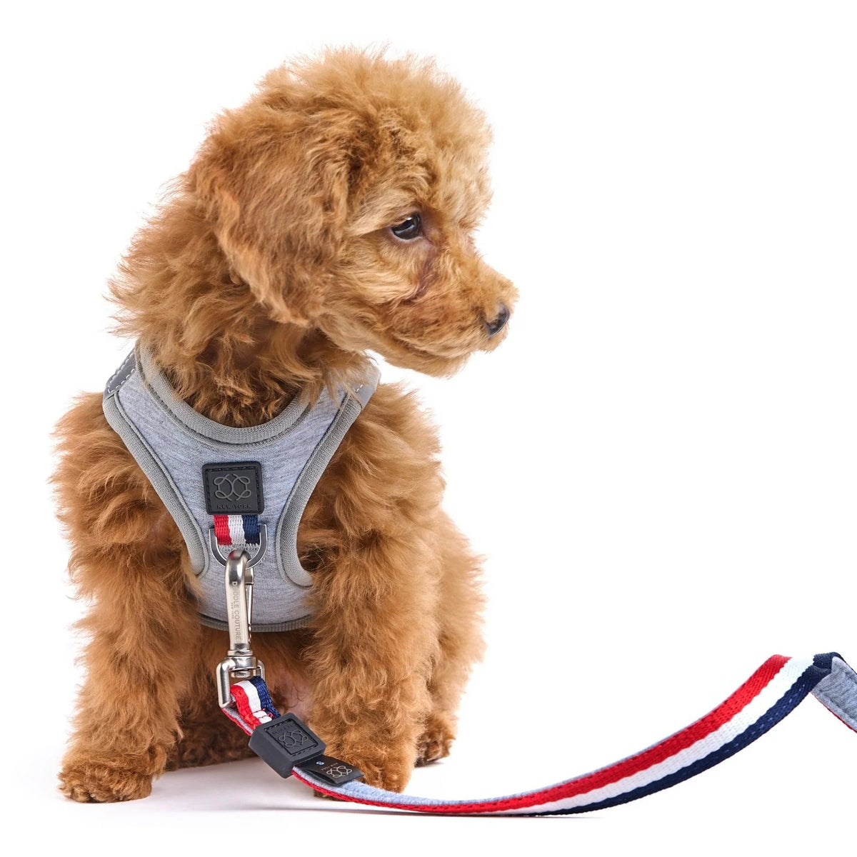 Soft Comfort Dog Harness