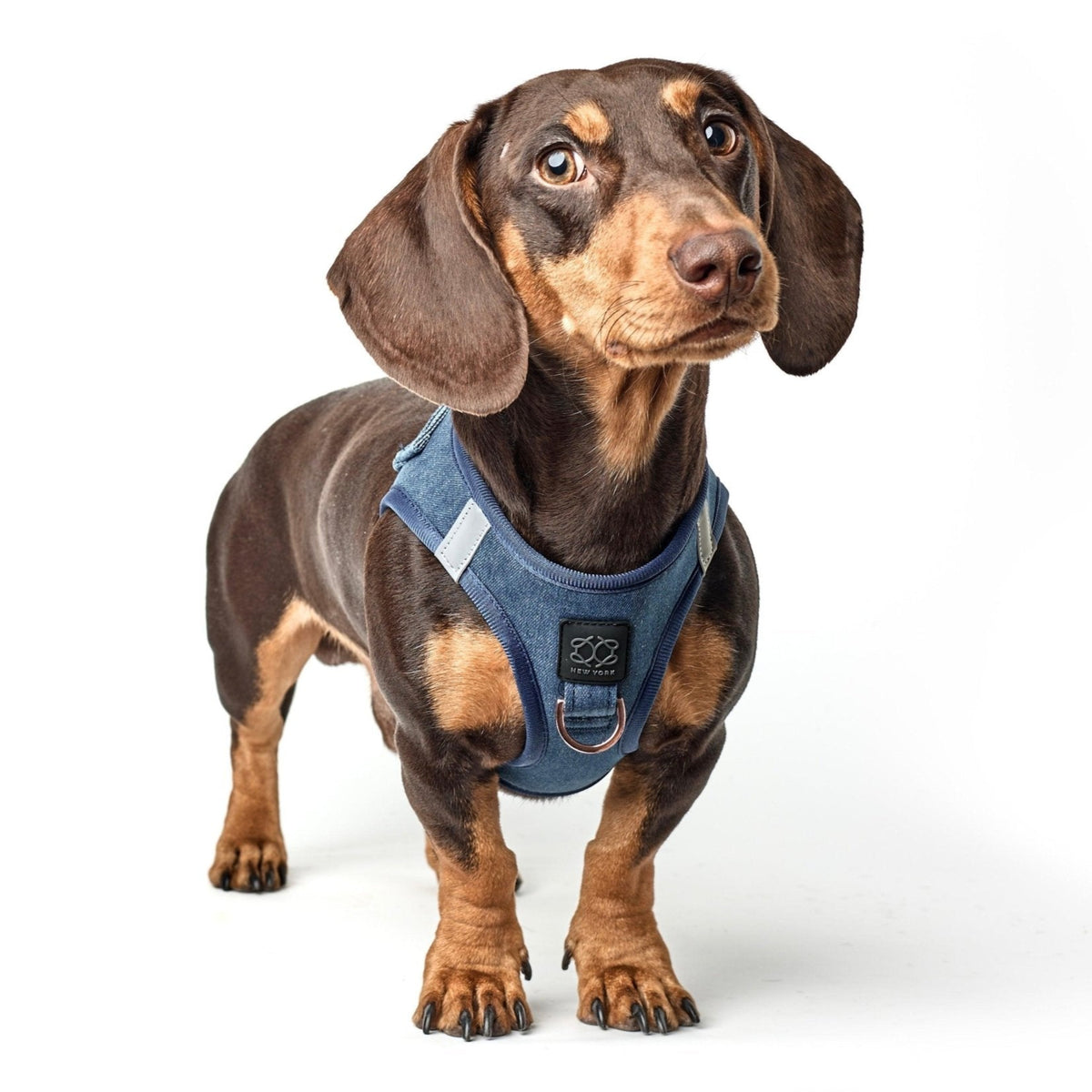 No-Pull Dog Harness