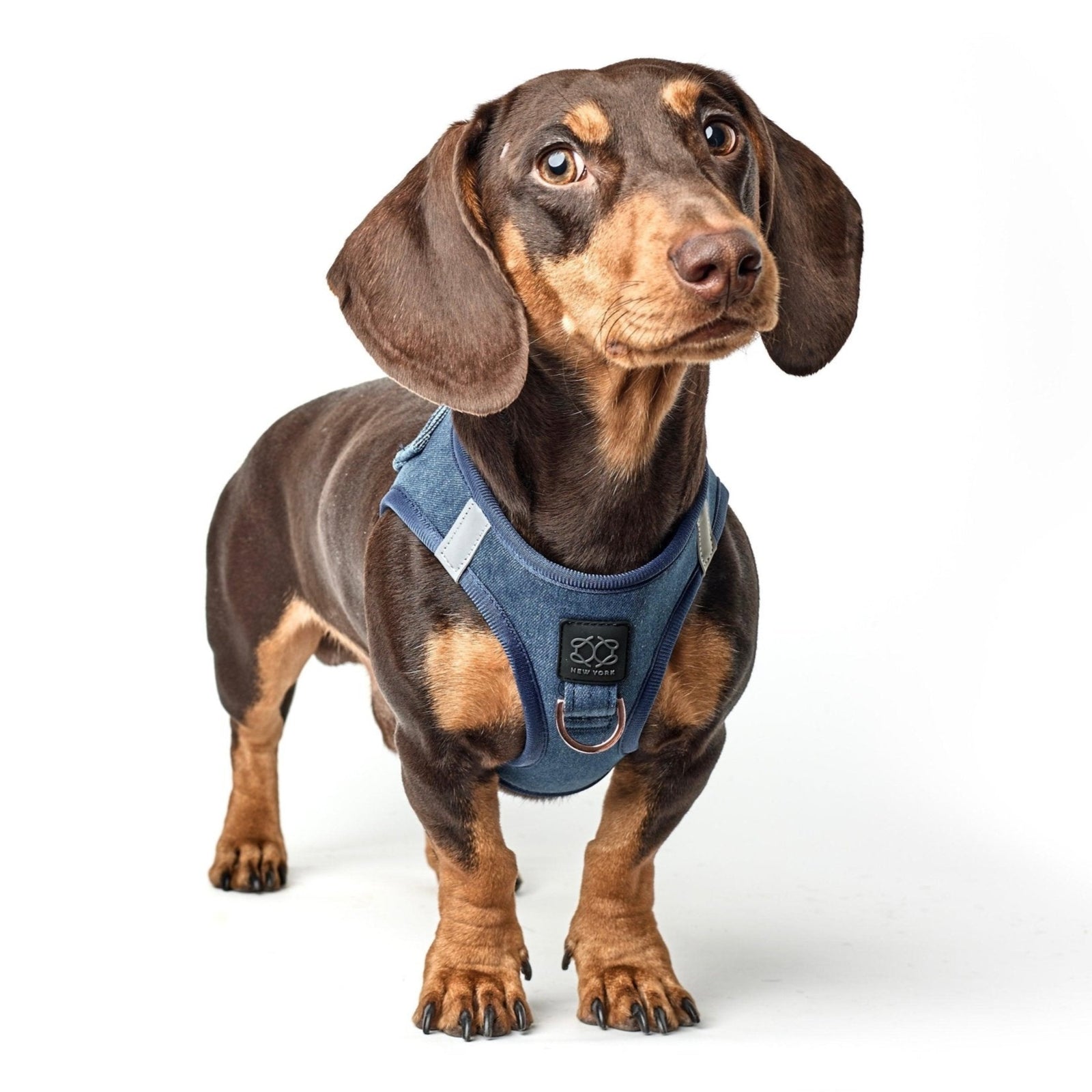 No-Pull Dog Harness