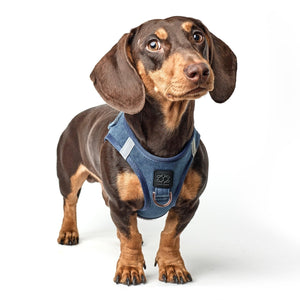 No-Pull Dog Harness