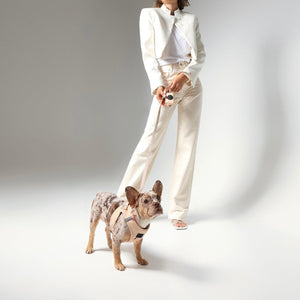 Sand Dune Dog Harness