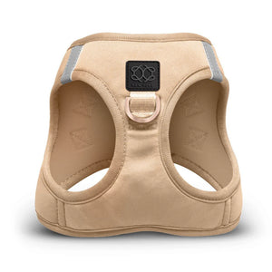 Sand Dune Dog Harness