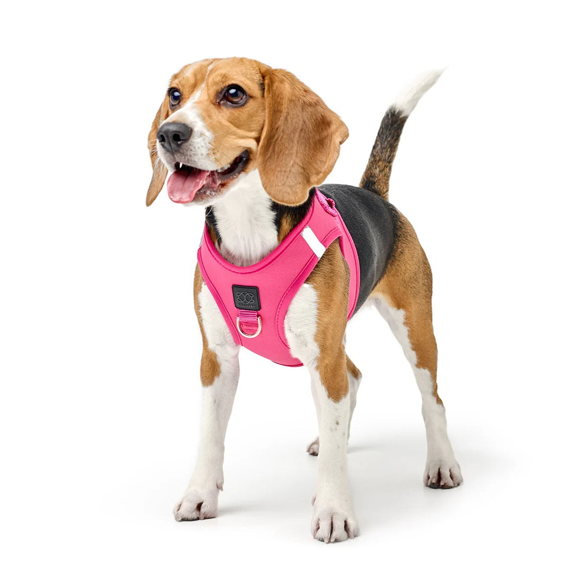 No-Pull Puppy Harness