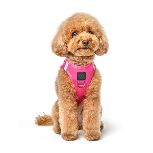 No-Pull Puppy Harness