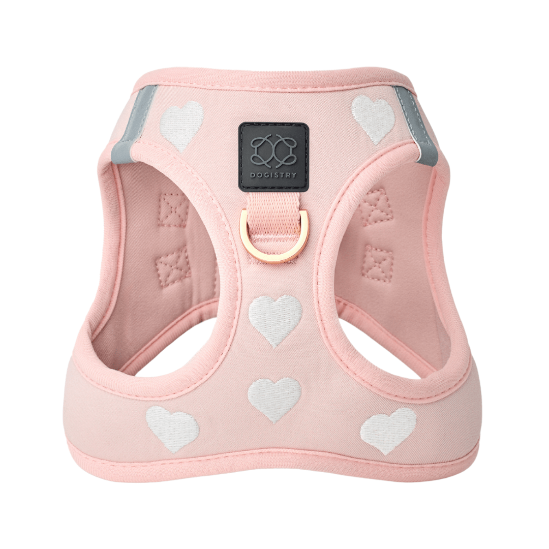Sweetheart Dog Harness