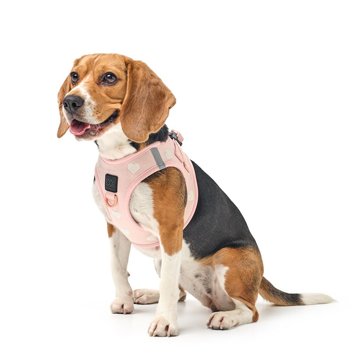 Sweetheart Dog Harness