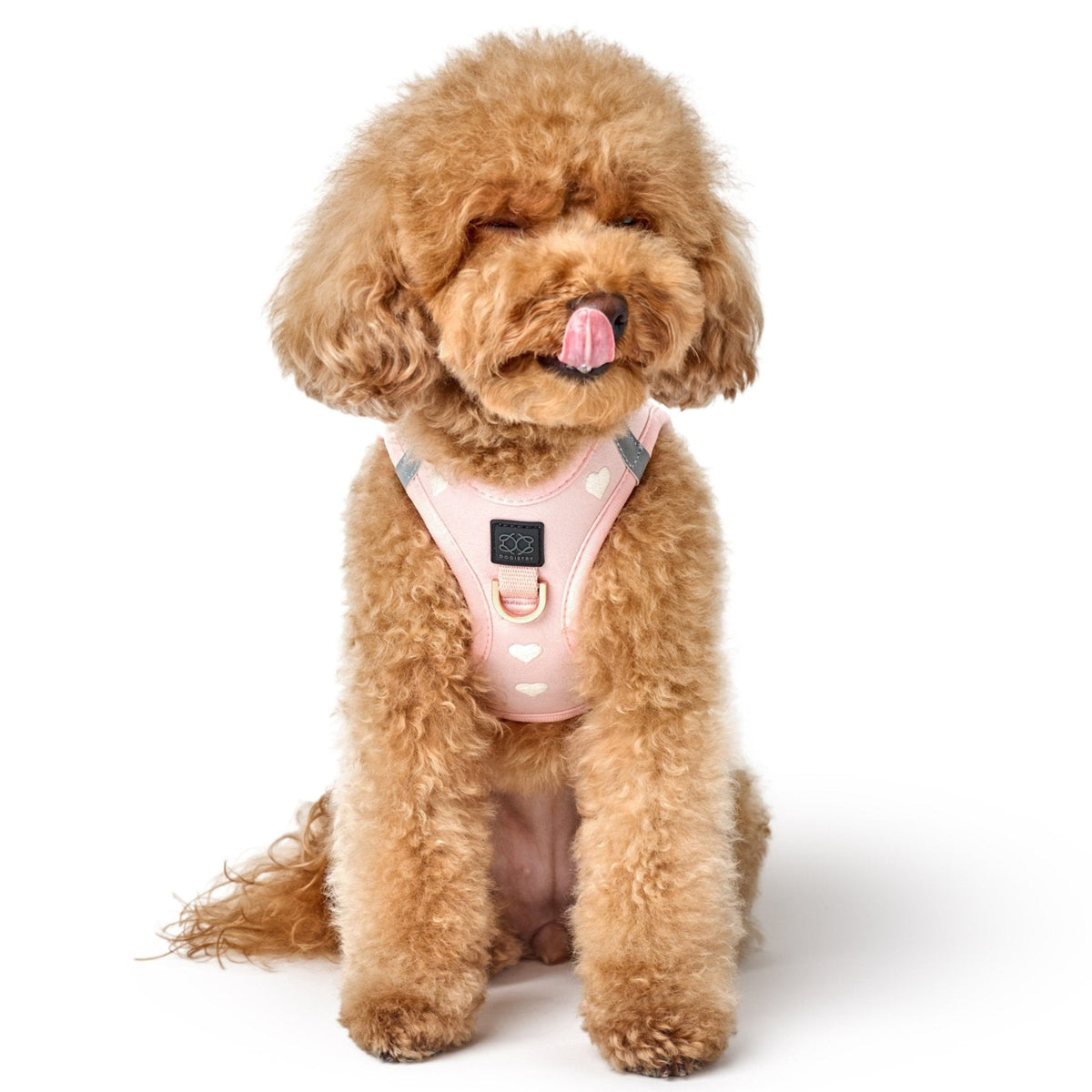 Sweetheart Dog Harness